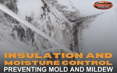 Insulation and Moisture Control: Preventing Mold and Mildew