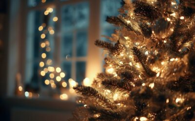 Merry Christmas from Custom Insulation!