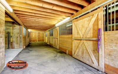 Protecting Outbuildings: The Benefits of Insulating Sheds and Barns