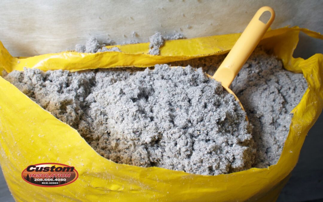 How Cellulose Delivers in Everyday Performance